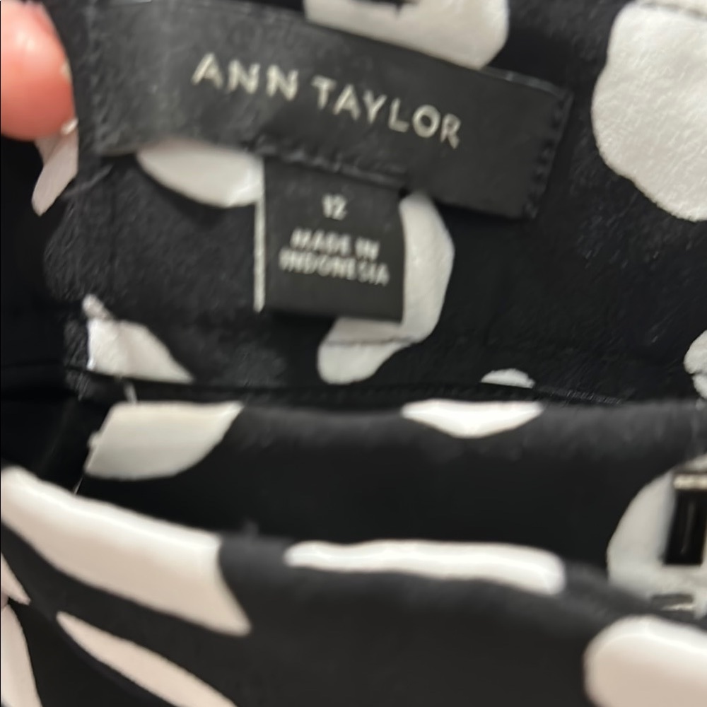 ANN TAYLOR Black and White Polka Dot Women's Shorts - Picture 6 of 9